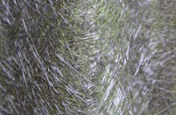 Ffair Rhos fibreglass roof work